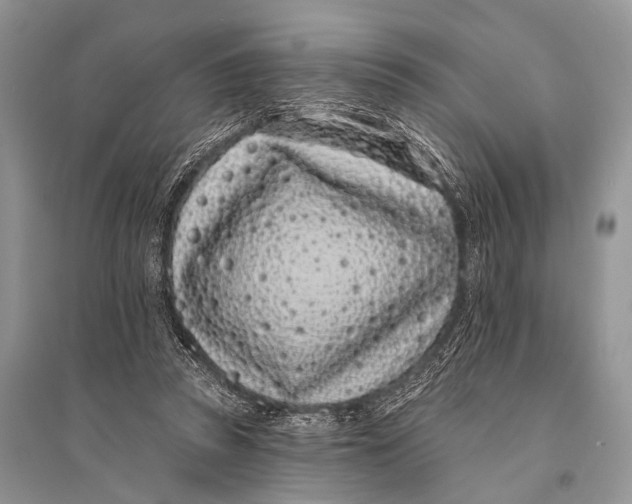 X0000094920353200712201225