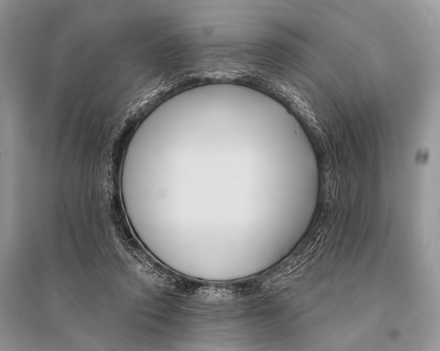 X0000094920354200712201225