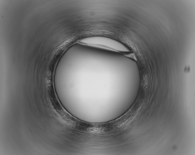 X0000094920356200712201225