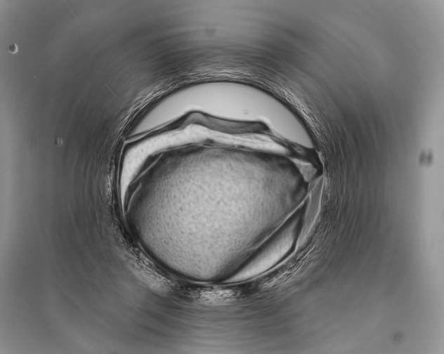 X0000094920357200712201225
