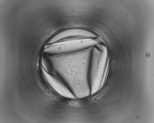 X0000094920358200712201225