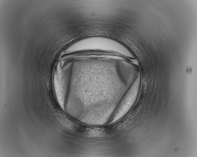 X0000094920359200712201225