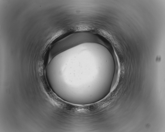 X0000094920360200712201225