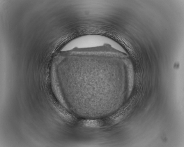 X0000094920361200712201225