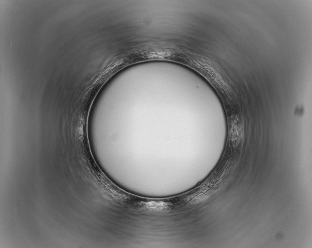 X0000094920363200712201225