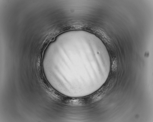 X0000094920365200712201225