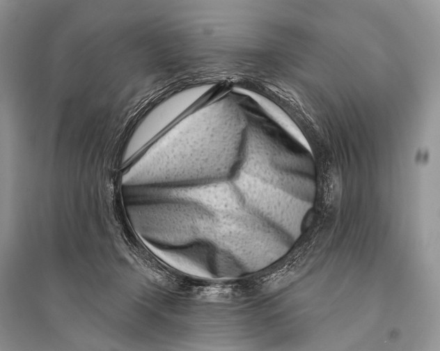 X0000094920366200712201225
