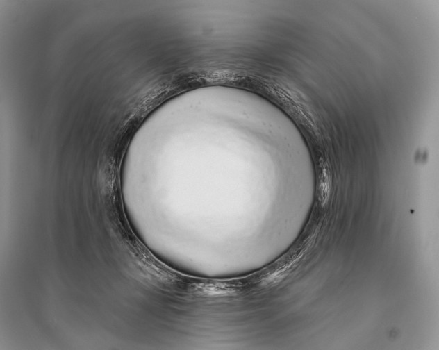 X0000094920367200712201225