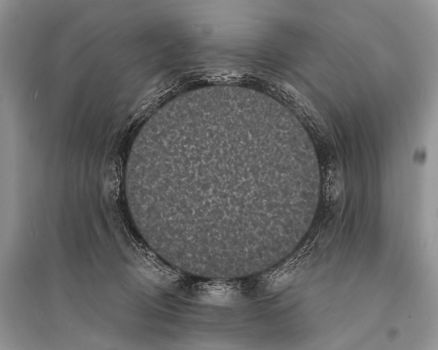 X0000094920370200712201225