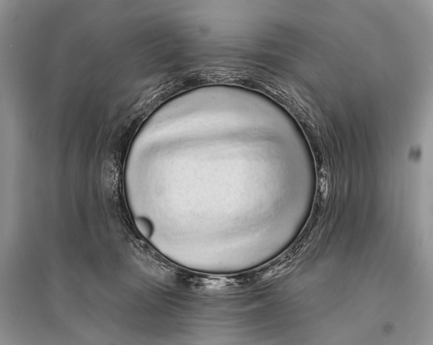X0000094920371200712201225