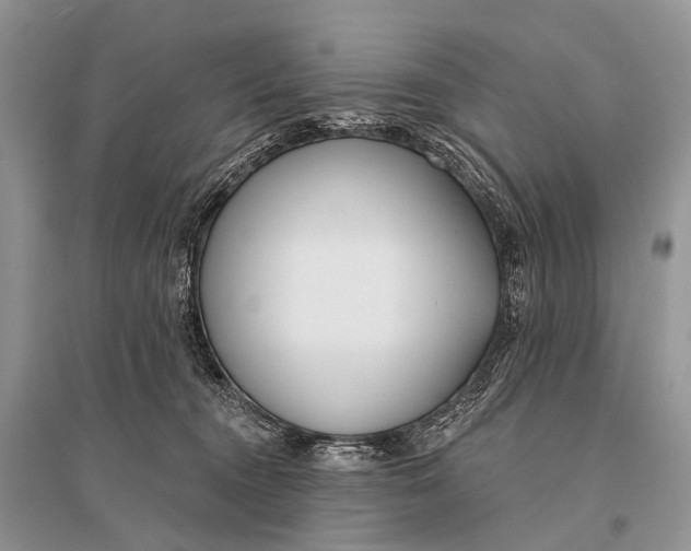 X0000094920372200712201225