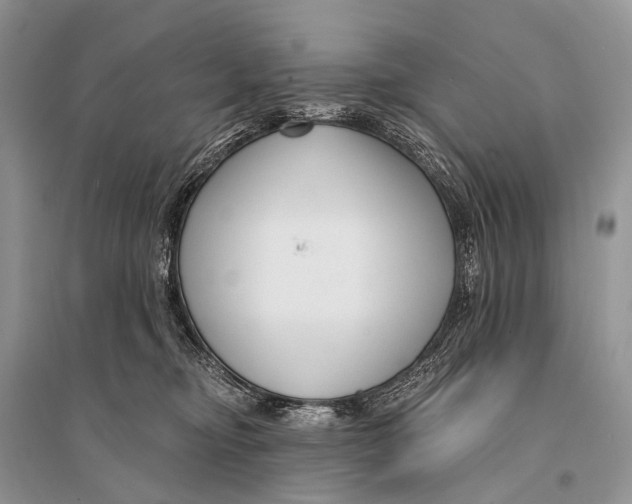 X0000094920374200712201225
