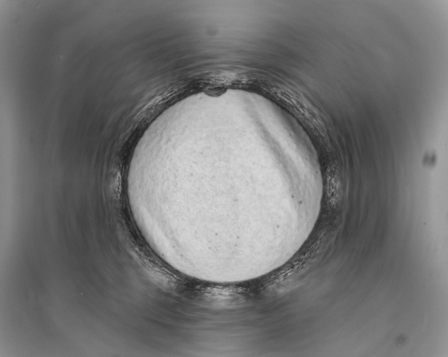 X0000094920375200712201225