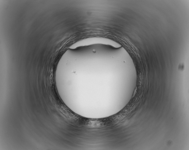 X0000094920376200712201225