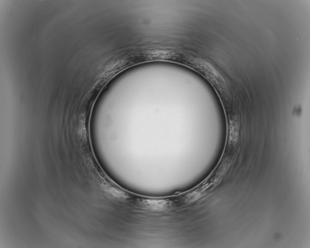 X0000094920377200712201225