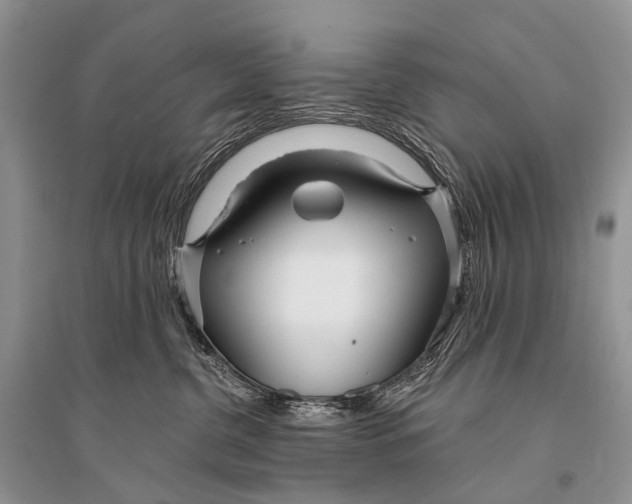 X0000094920380200712201225