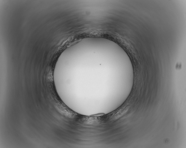 X0000094920384200712201225