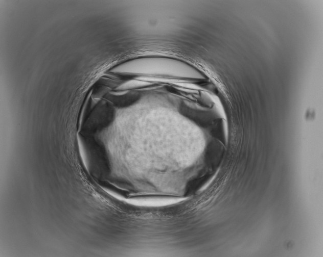 X0000094920385200712201224