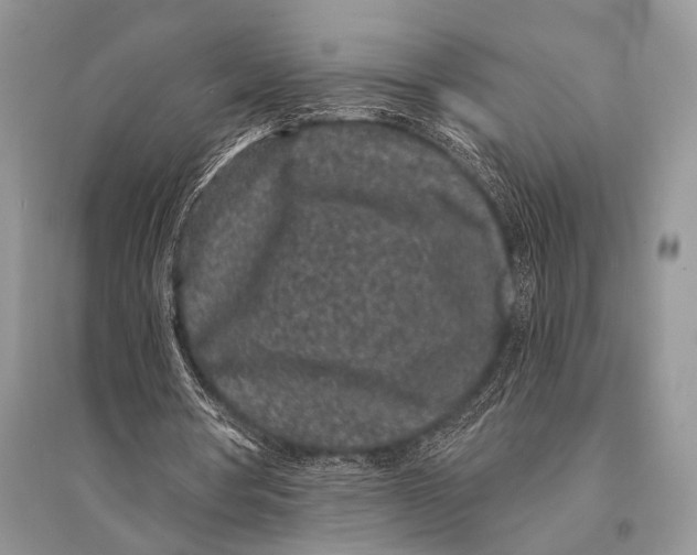 X0000094920386200712201224