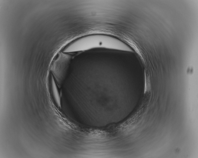X0000094920387200712201224