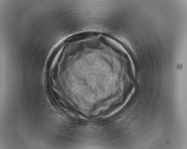 X0000094920388200712201224