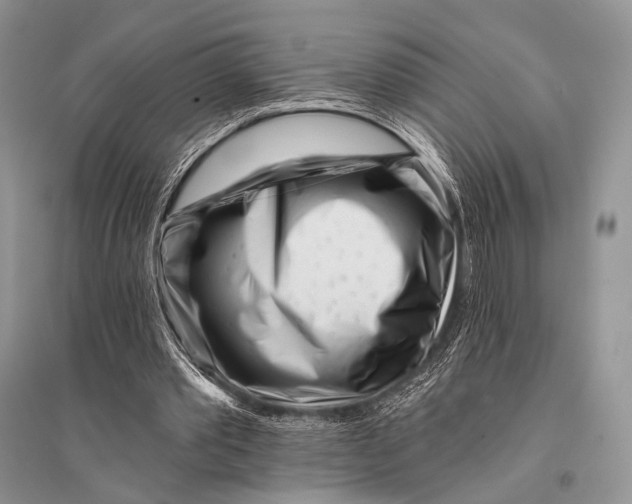 X0000094920389200712201224