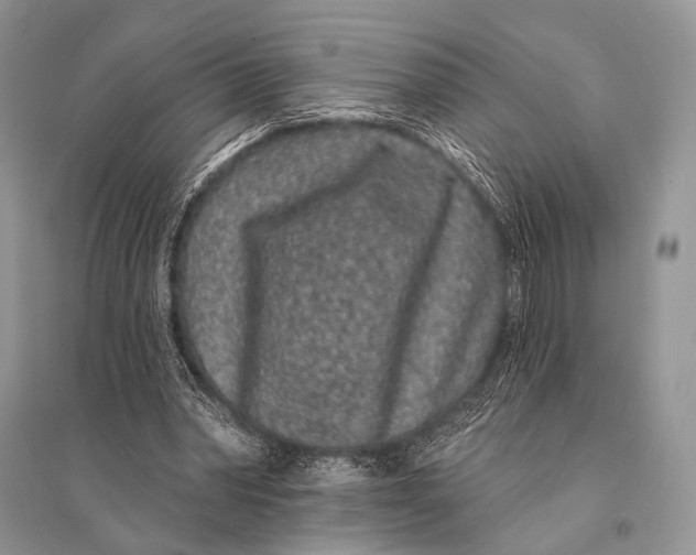 X0000094920390200712201224