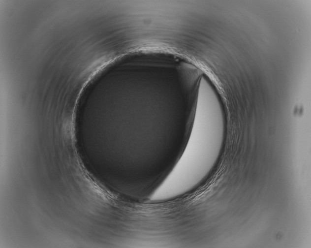 X0000094920391200712201224