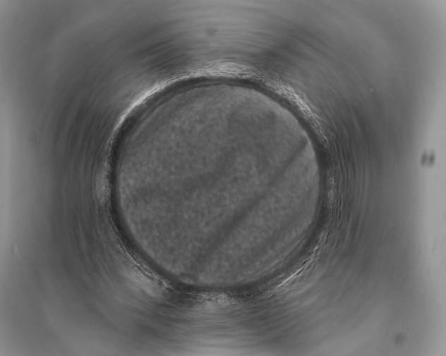X0000094920392200712201224