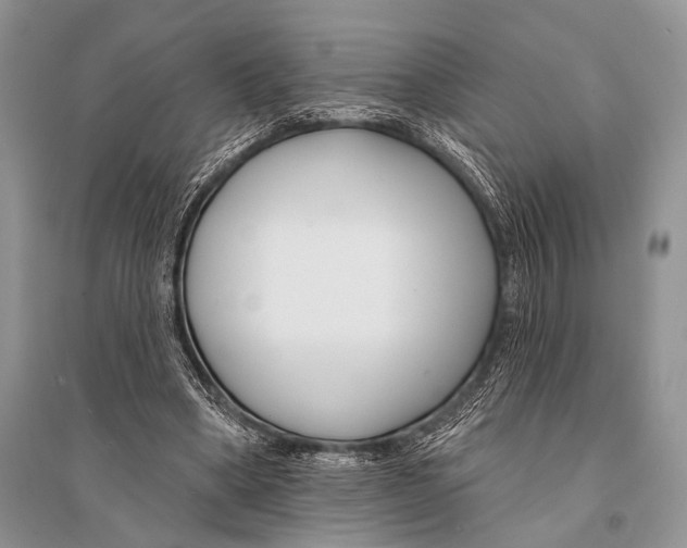 X0000094920394200712201224