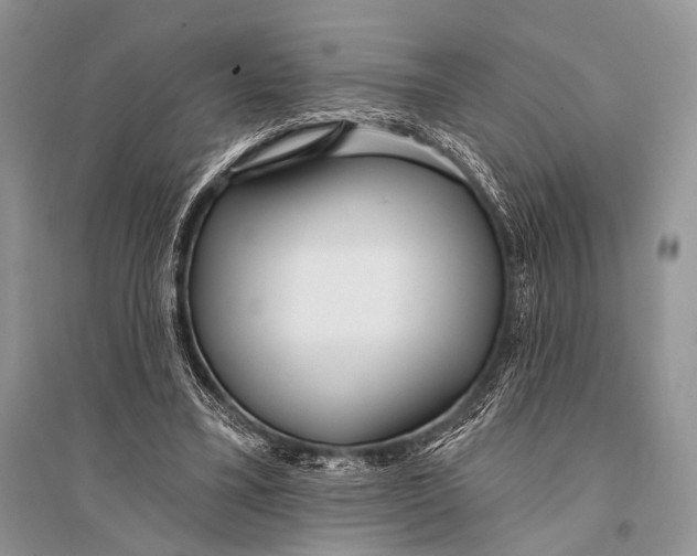 X0000094920395200712201224