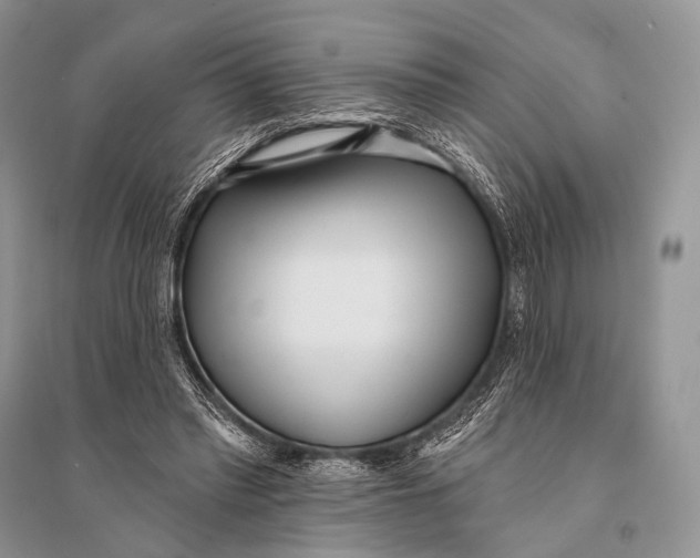 X0000094920397200712201224