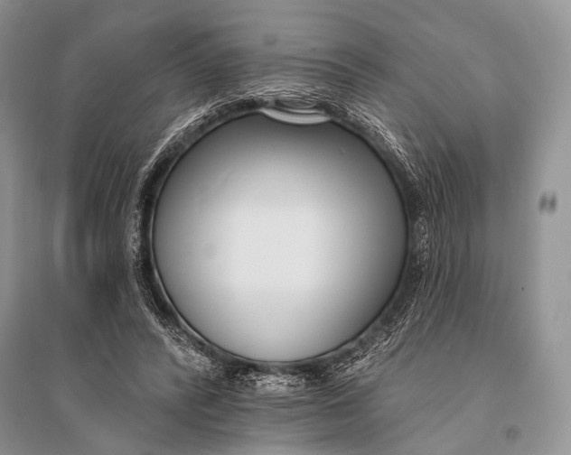 X0000094920400200712201224