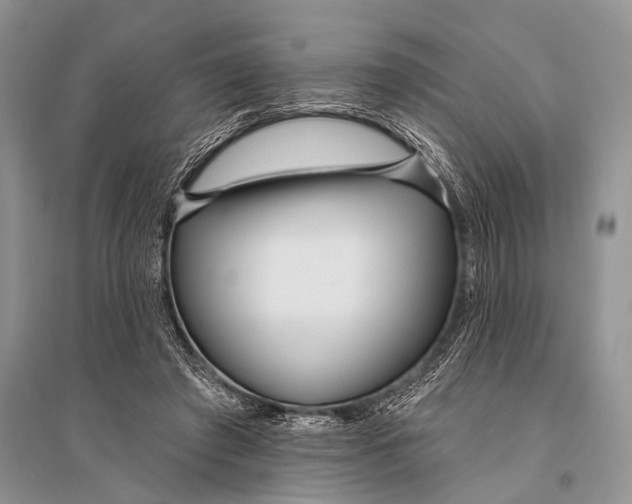 X0000094920401200712201224