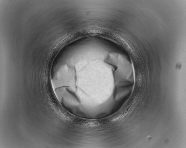 X0000094920402200712201224