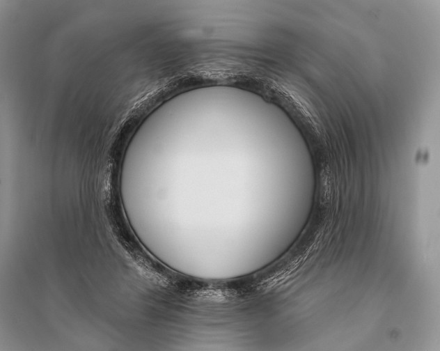 X0000094920404200712201224