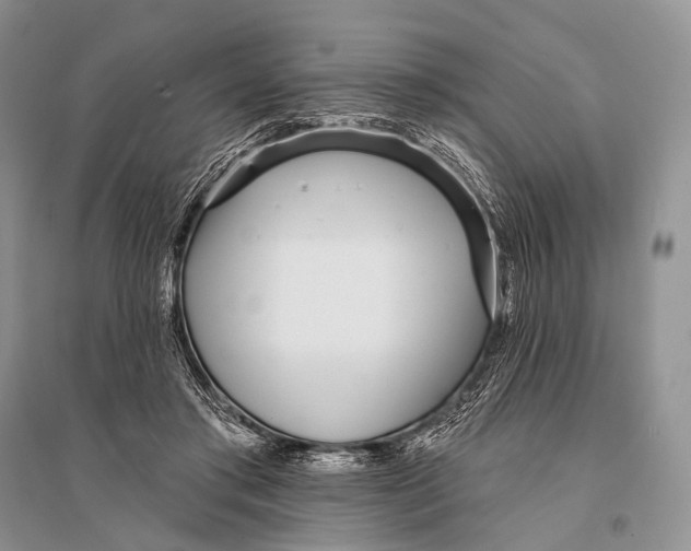 X0000094920405200712201224