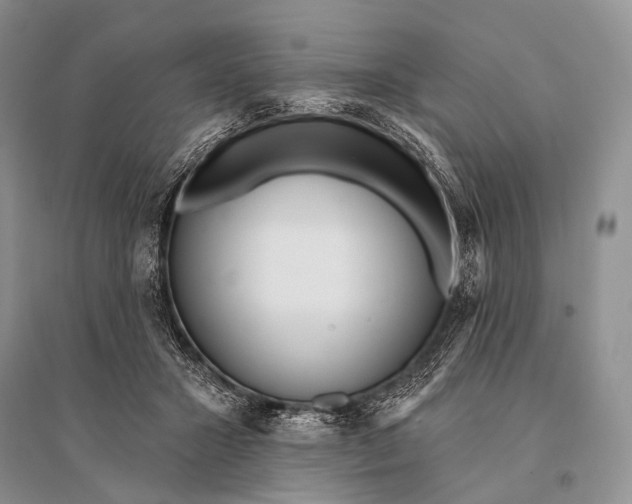 X0000094920407200712201224