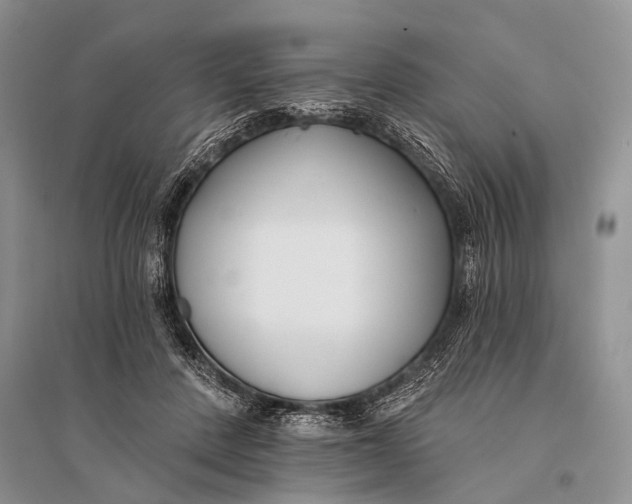 X0000094920408200712201224