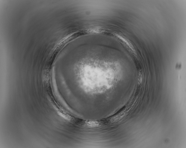 X0000094920409200712201224