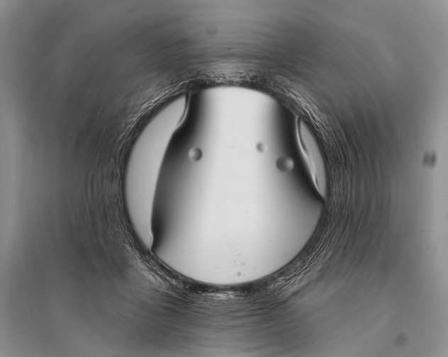 X0000094920411200712201224