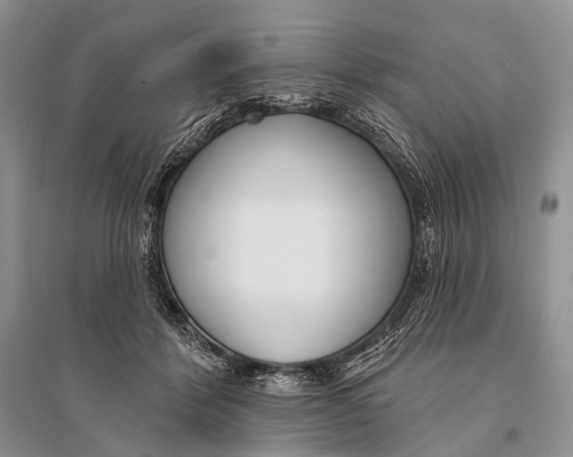 X0000094920412200712201224