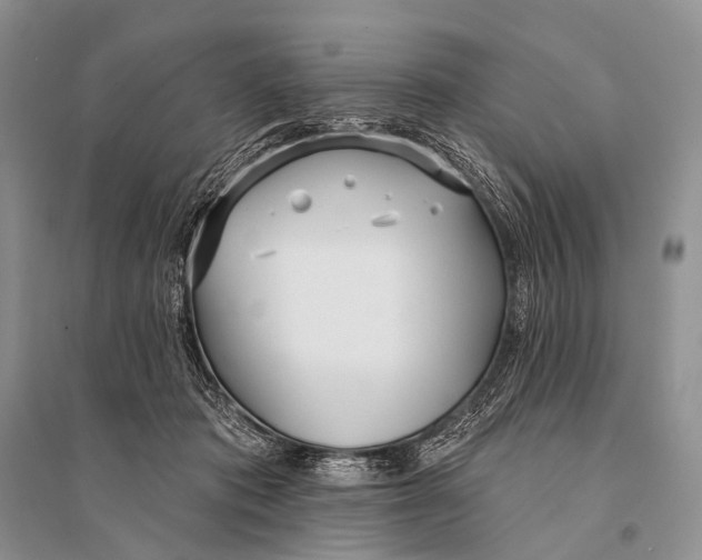 X0000094920413200712201224