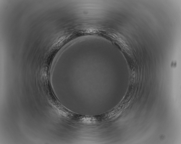 X0000094920415200712201224