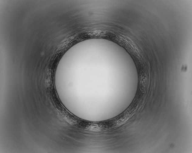 X0000094920416200712201224
