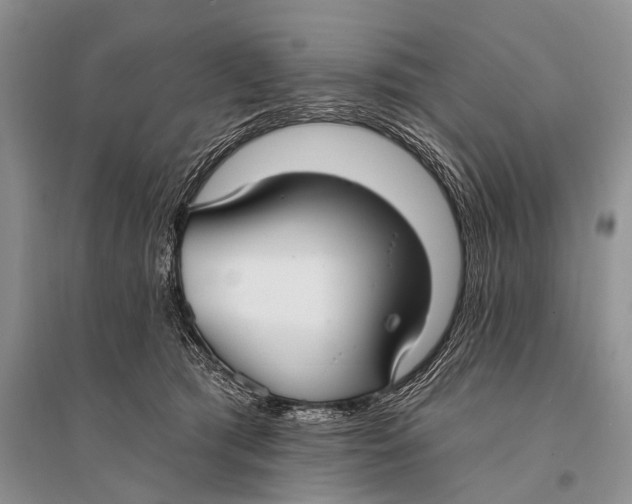 X0000094920417200712201224