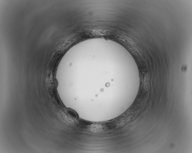 X0000094920418200712201224