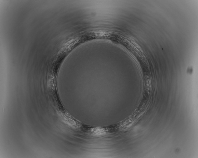 X0000094920419200712201224