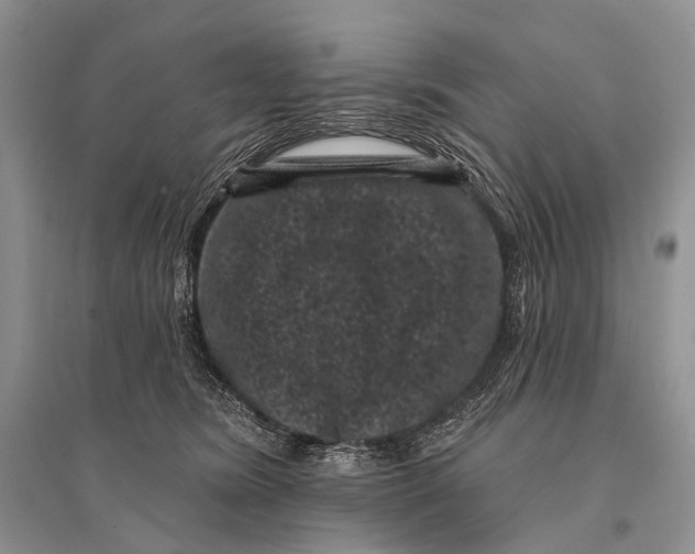 X0000094920420200712201224
