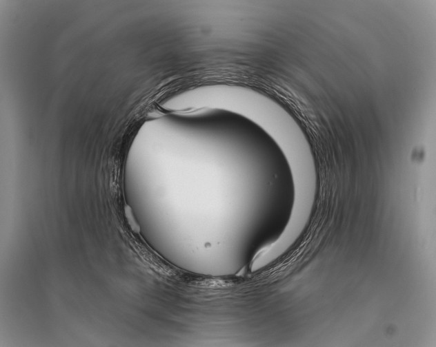 X0000094920421200712201224